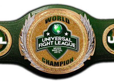 universal fight league mixed martial arts