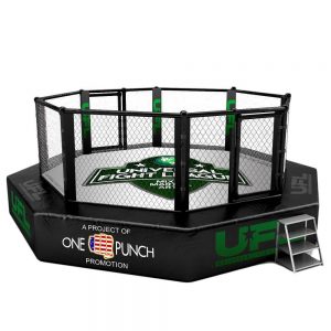 universal fight league ring