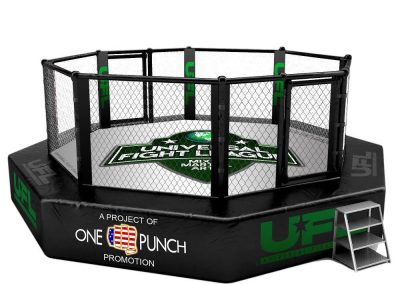 universal fight league ring