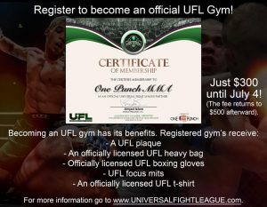 universal fight league certificate one punch