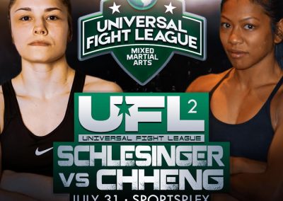 SCHLESINGER VS CHHENG UFL2